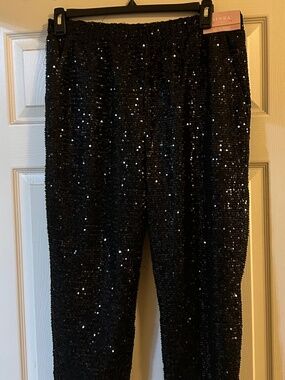 Ladies sequin pull on pants